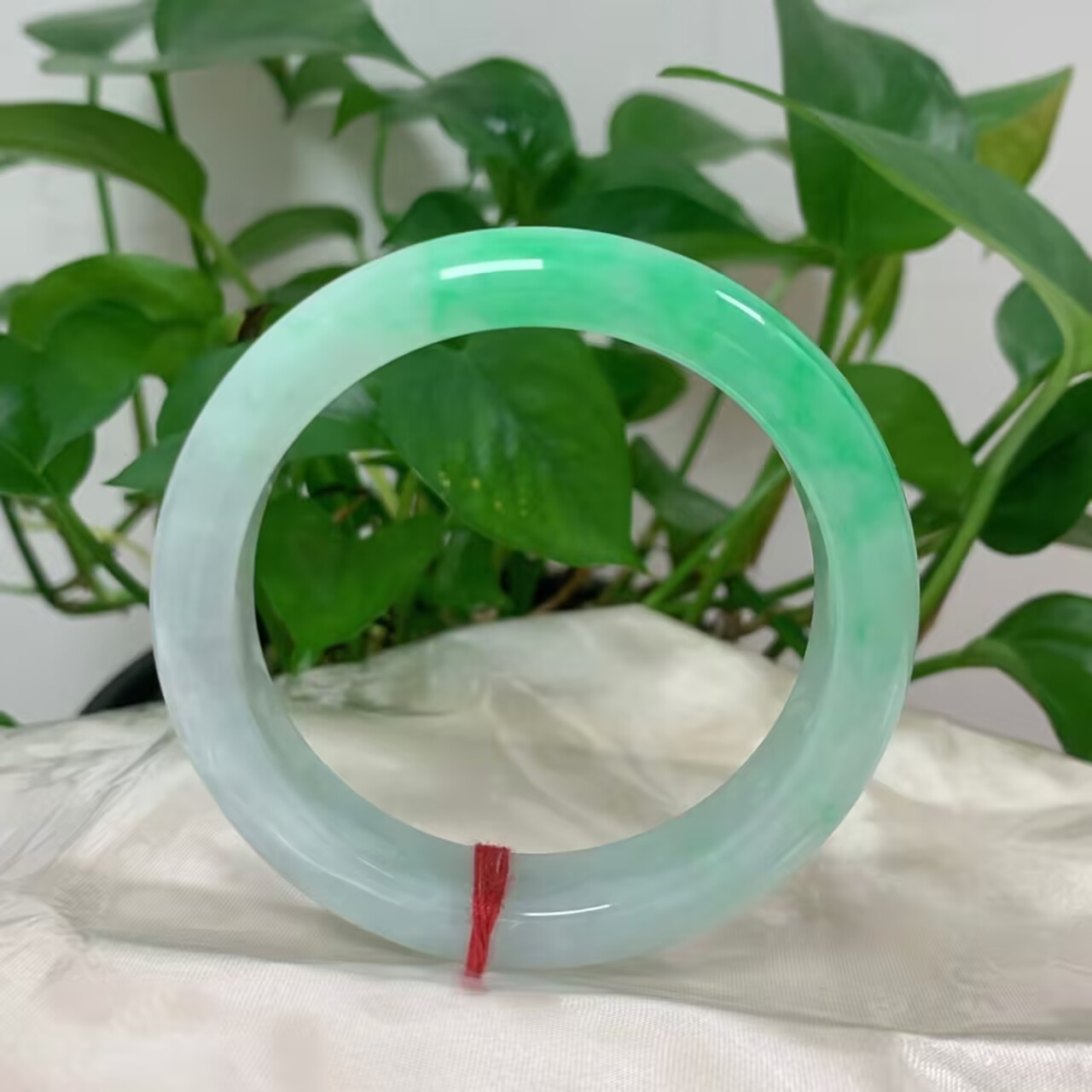 糯种飘苹果绿正圈A货翡翠手镯